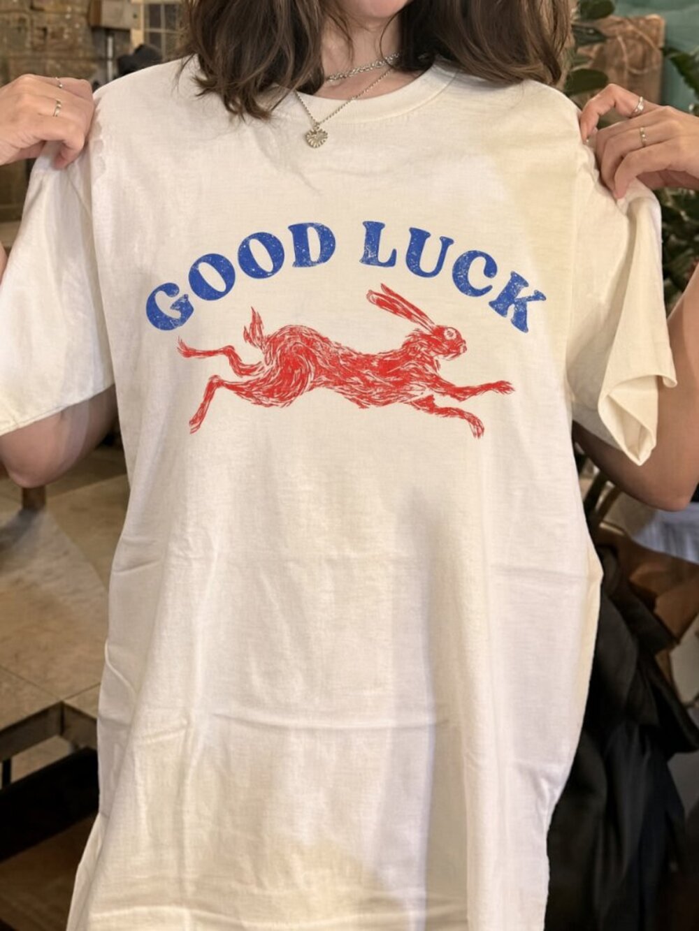 Good Luck Rabbit Graphic Tee Red Hare Blue Retro Print Vintage Style Shirt